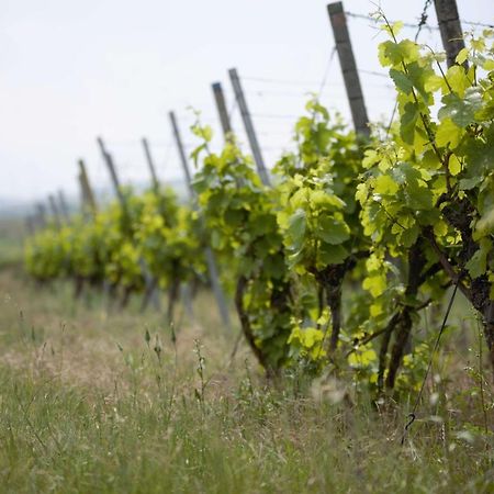 ホテル Weingut Schilling Seinsheim エクステリア 写真