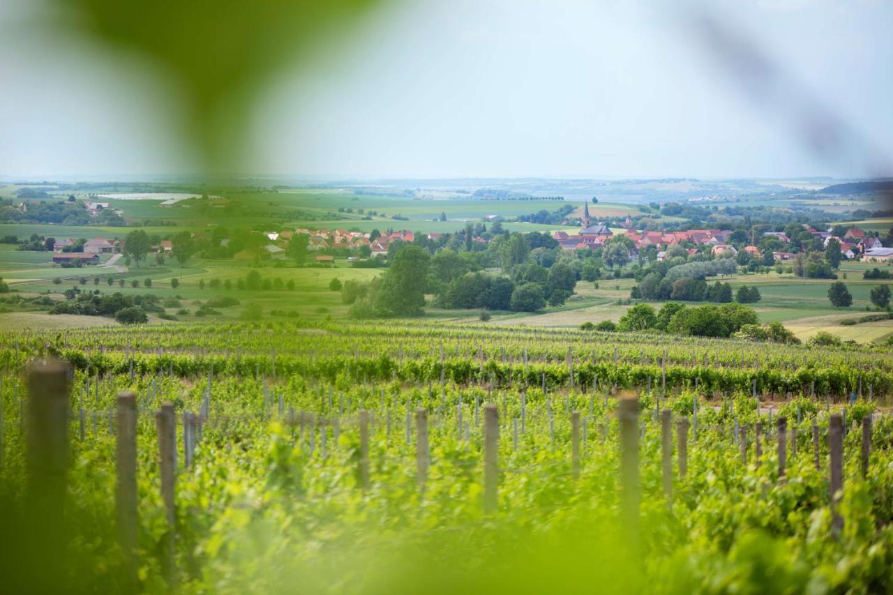 ホテル Weingut Schilling Seinsheim エクステリア 写真